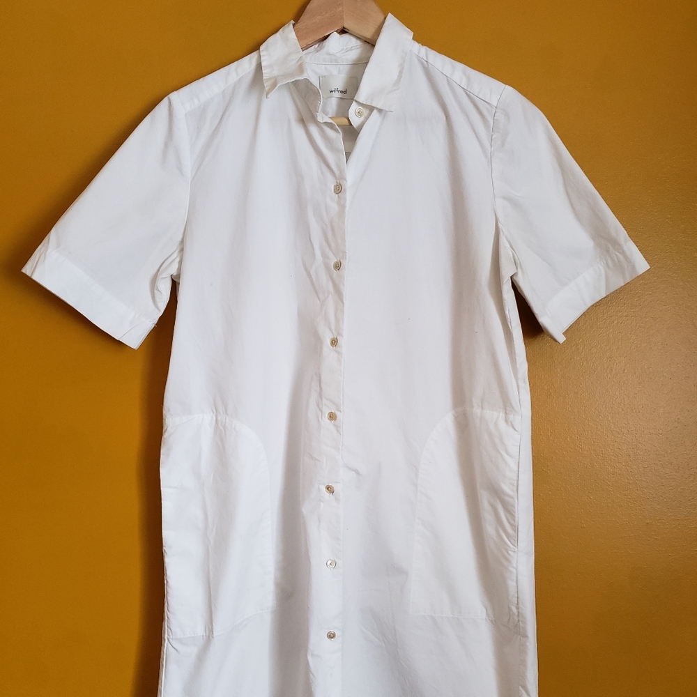 Aritzia - Wilfred Button down dress